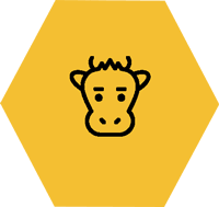 Mangimi